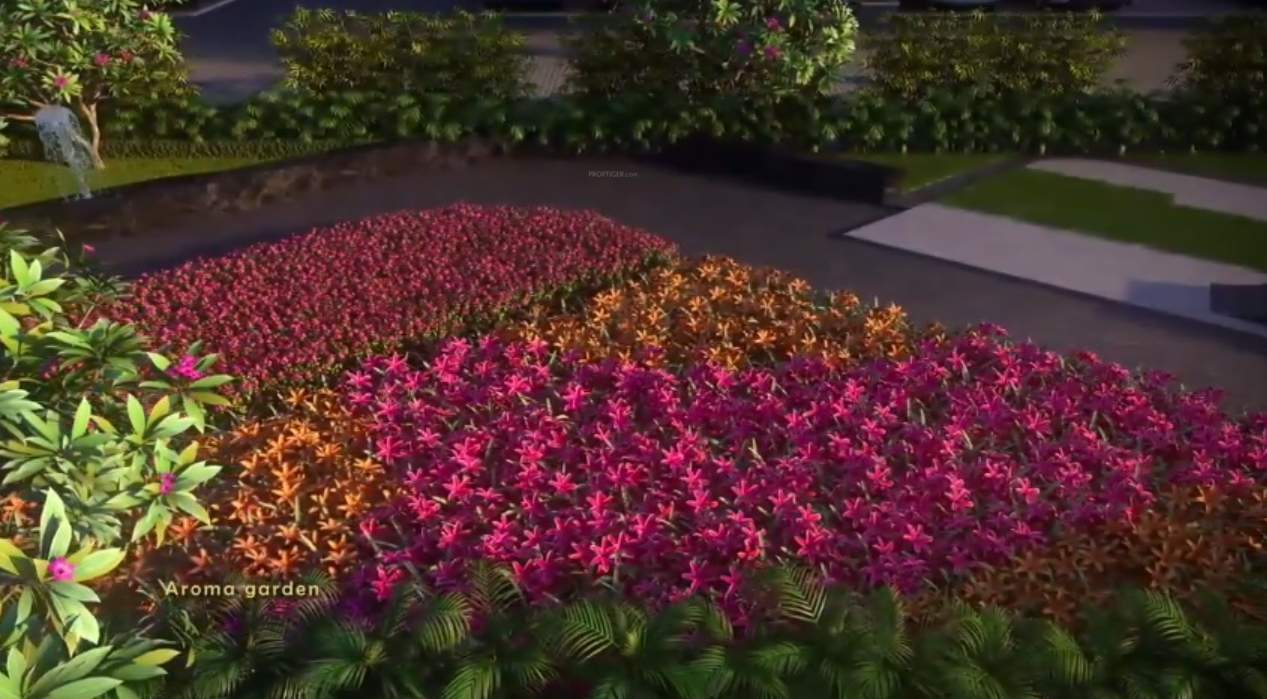  iridium apartments Landscaped Gardens