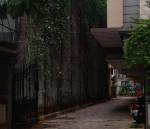 Car Parking  valleria Car Parking