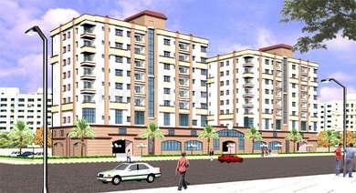 Images for Elevation of Daffodil Group Divine Bliss