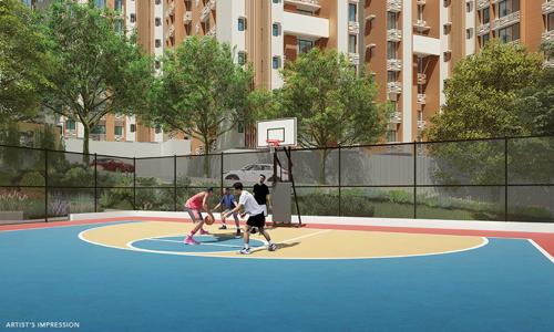  wise-city Football Field