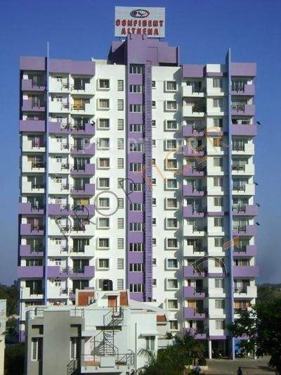 althena Images for Elevation of Confident Althena