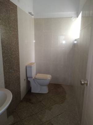  dew Images for mainOther