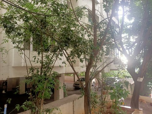  ultra-luxury-residential-apartments Elevation