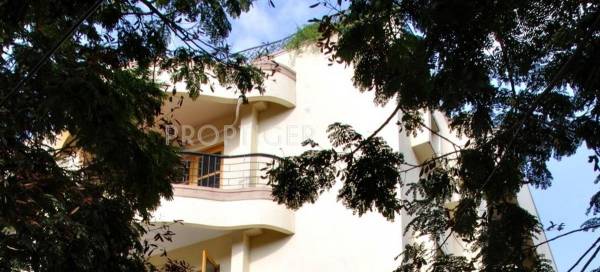 Images for Elevation of Value Russet Images for Elevation of Value Russet