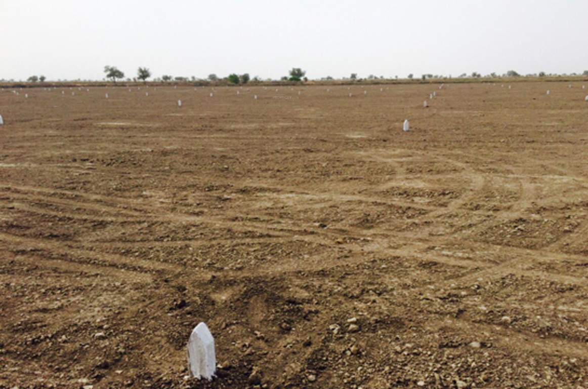 Images for Elevation of 7 Oak Platinum