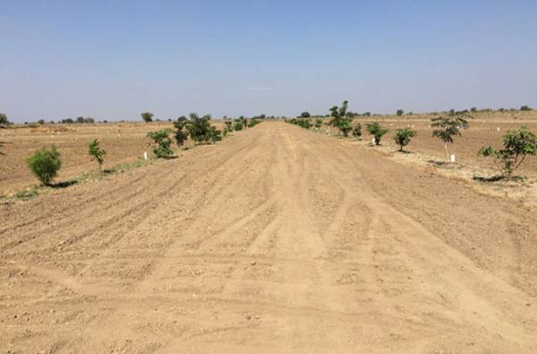 Images for Main Other of 7 Oak Platinum Images for Main Other of 7 Oak Platinum