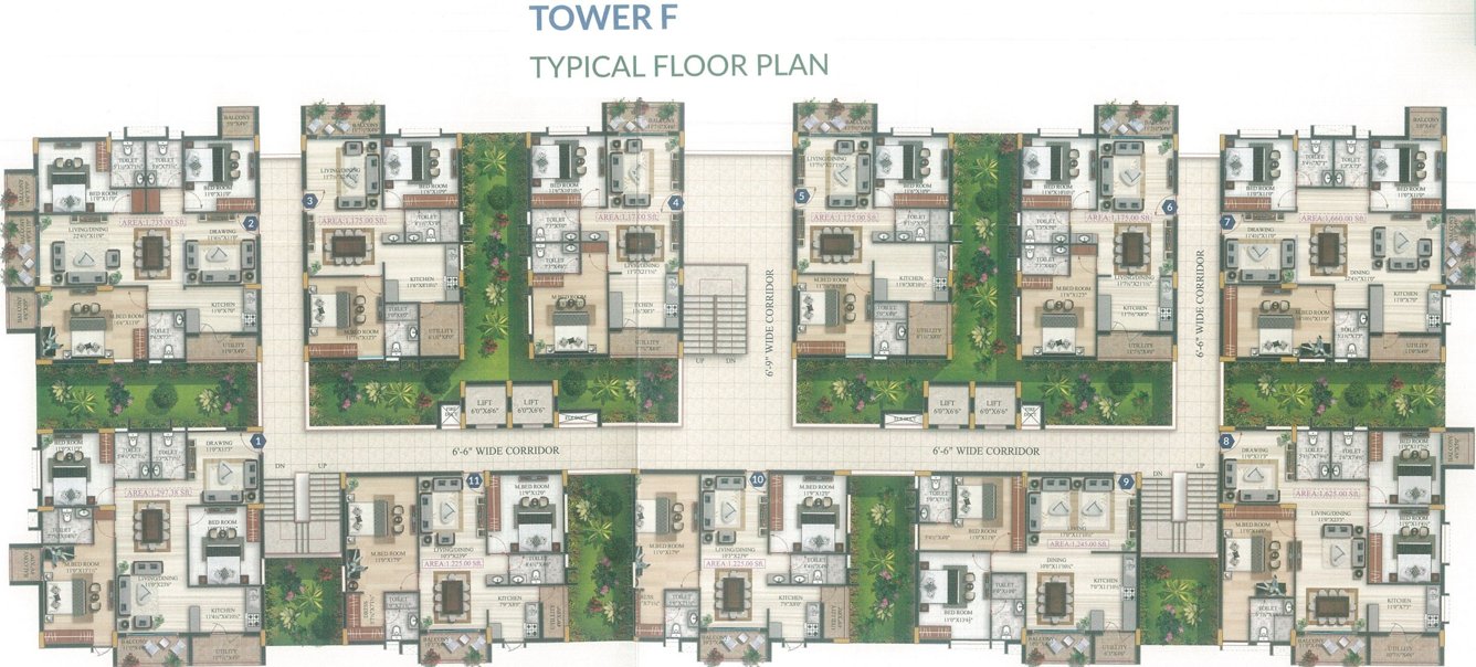  oasis Tower F Cluster Plan