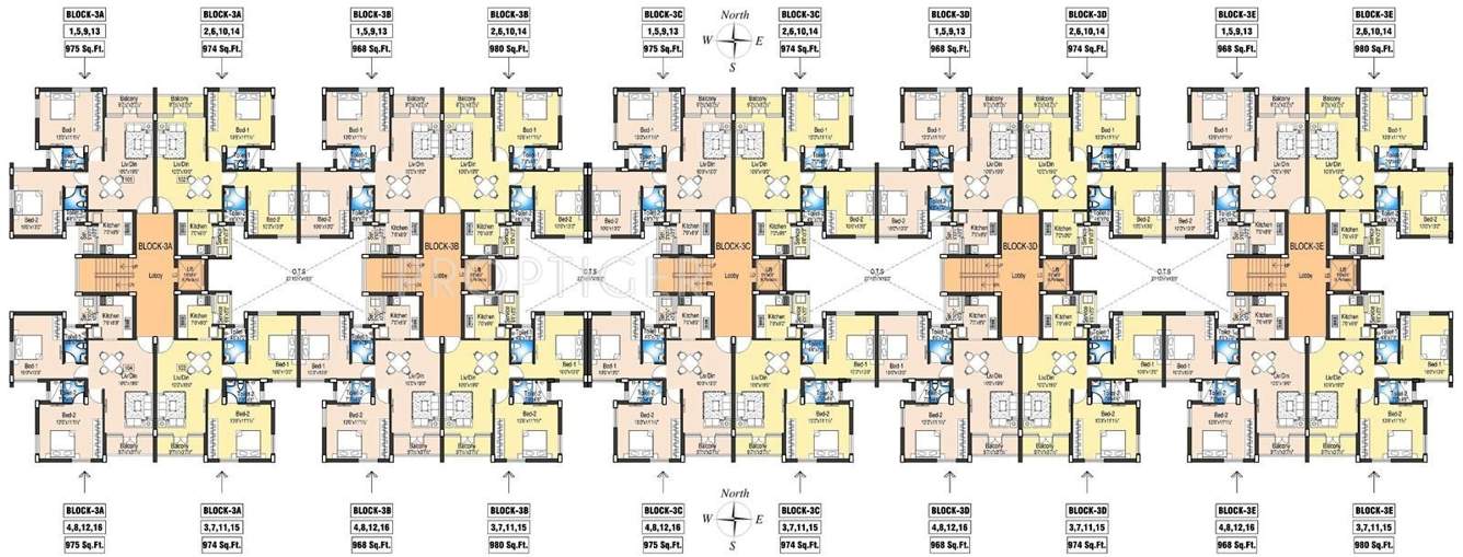  orchid Images for Cluster Plan of DABC Orchid