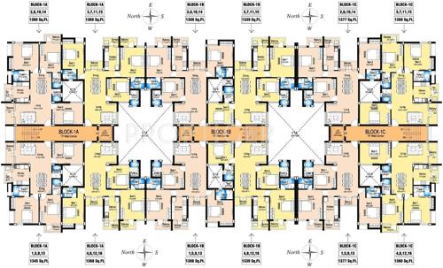  orchid Images for Cluster Plan of DABC Orchid