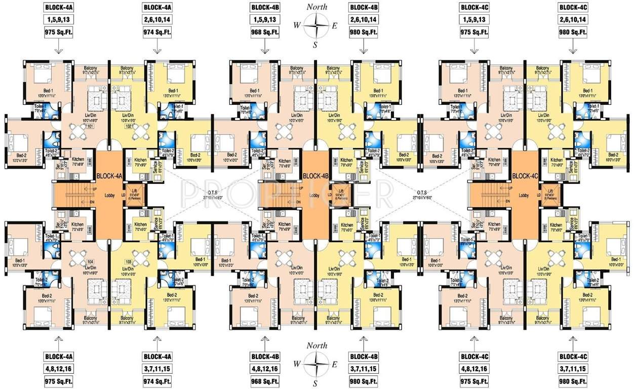 orchid Images for Cluster Plan of DABC Orchid