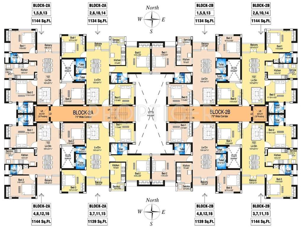  orchid Images for Cluster Plan of DABC Orchid