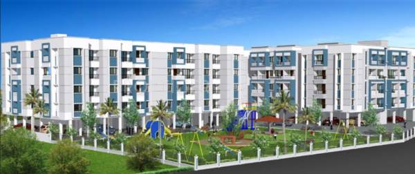 DABC Orchid orchid DABC Orchid