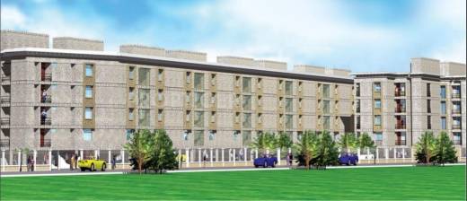 acacia DABC Acacia DABC Acacia