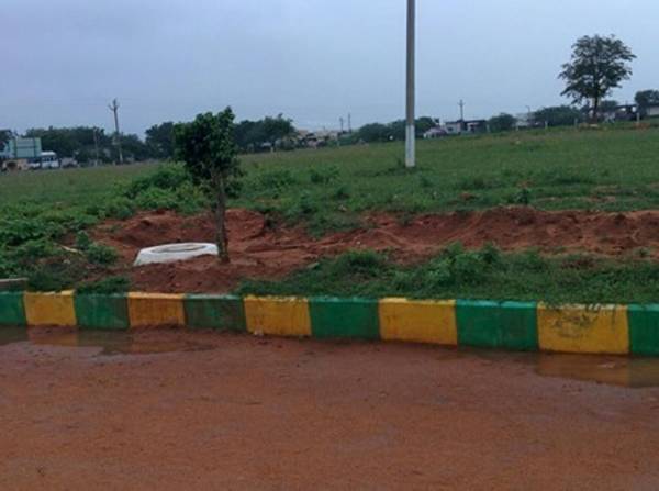 Images for Main Other of Peram Aditya Lotus