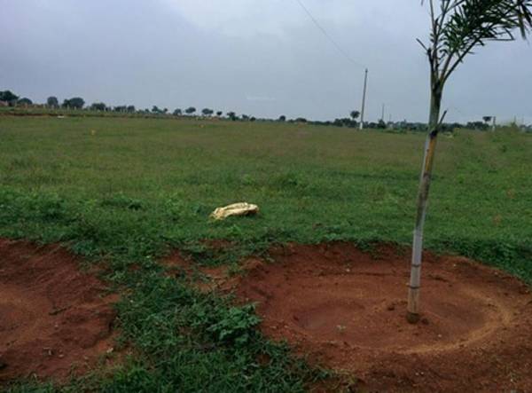 Images for Main Other of Peram Aditya Lotus