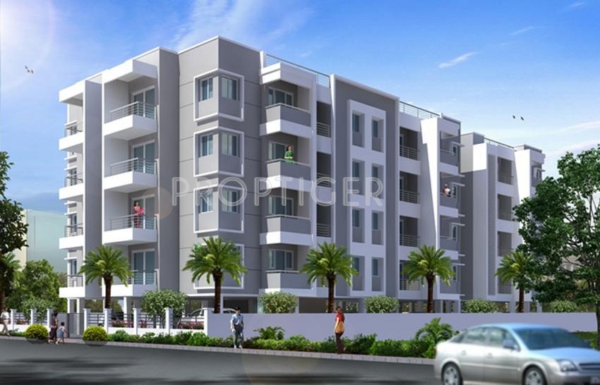 DABC Euphorbia Phase 1