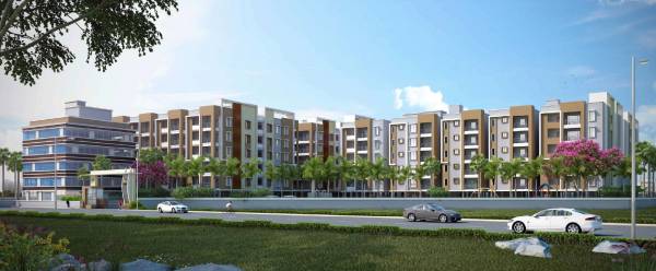 Elevation elite Elevation