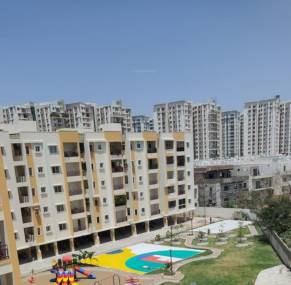 Elevation  elite Elevation