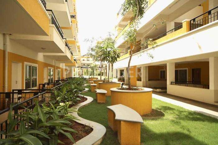 dwellington Images for Elevation of Krishna Dwellington