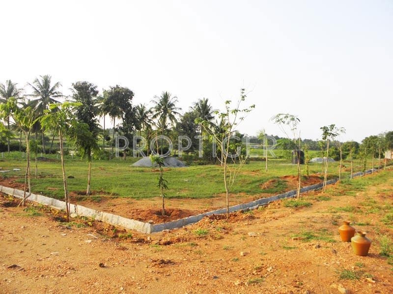 Images for Elevation of Greater Lake Dew