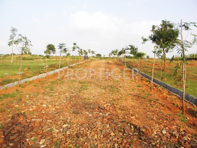 Images for Elevation of Greater Lake Dew