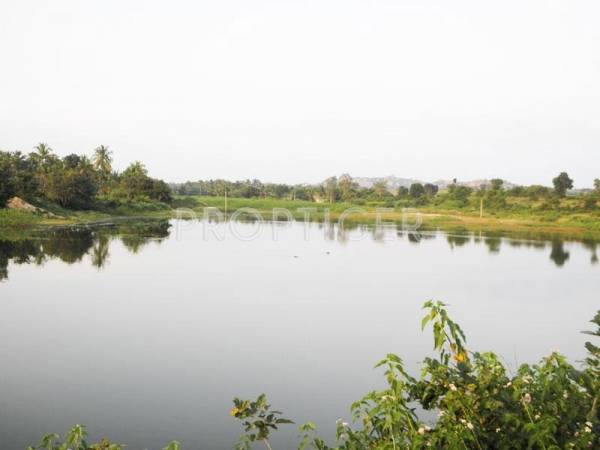 Images for Elevation of Greater Lake Dew