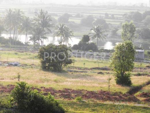 Images for Elevation of Greater Lake Dew