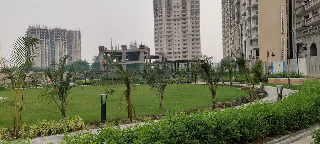 rhapsody Landscape Garden and Tree Planting