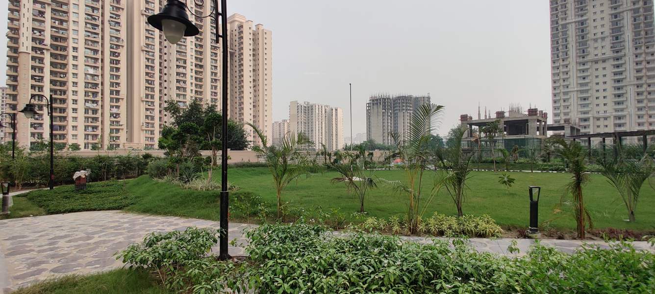 rhapsody Landscape Garden and Tree Planting