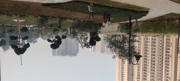 Others rhapsody Others