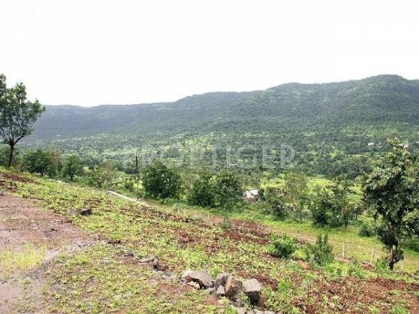 Images for Elevation of Sairung Ecstasy Boulevard