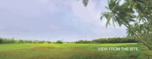  rosa Landscape Garden and Tree Planting