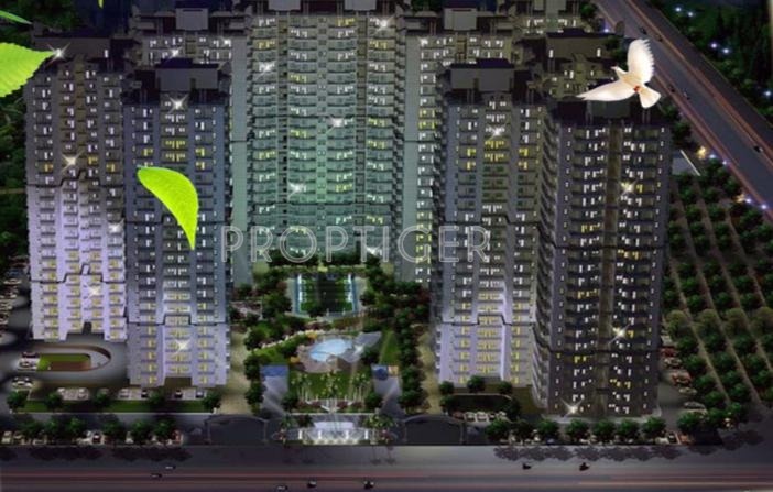 Images for Elevation of Saviour Iris