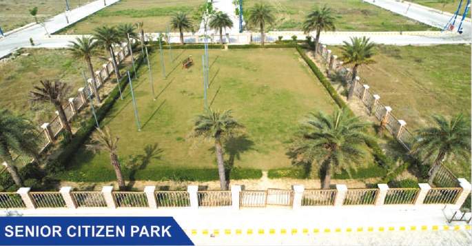  new suncity Senior Citizen Sitout