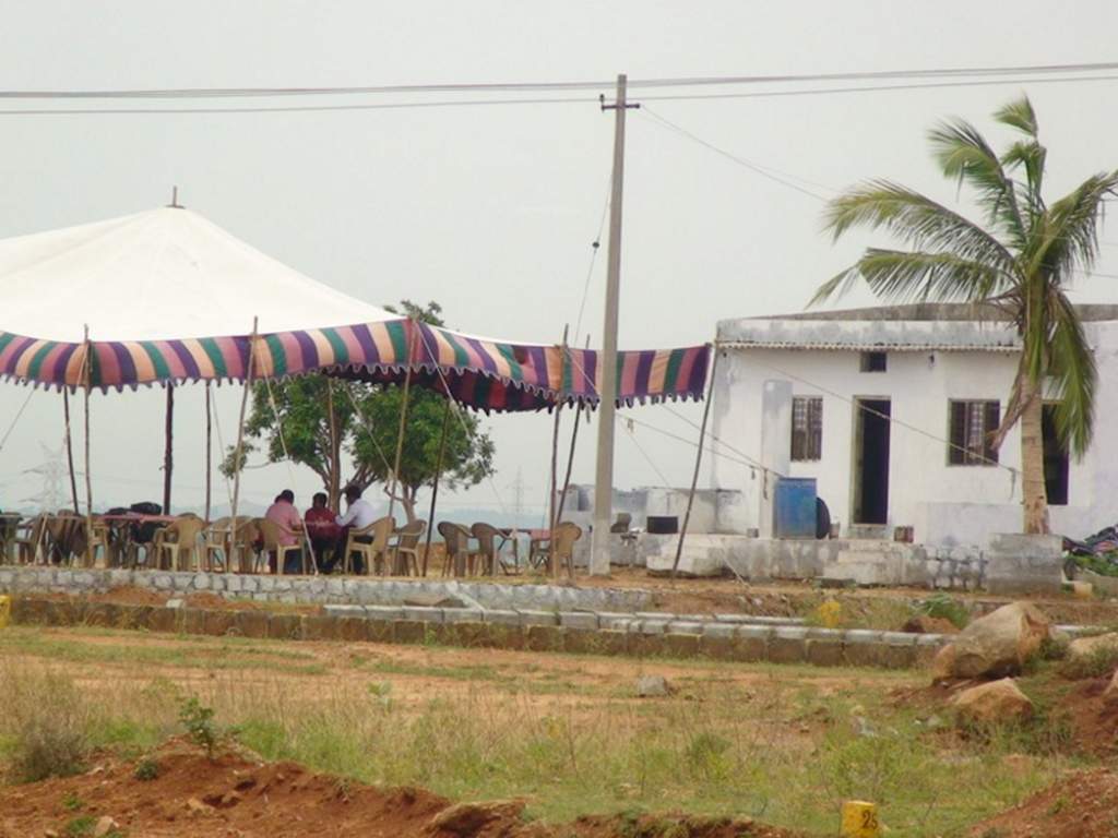  nature nest residencia Images for Main Other of Young Nature Nest Residencia