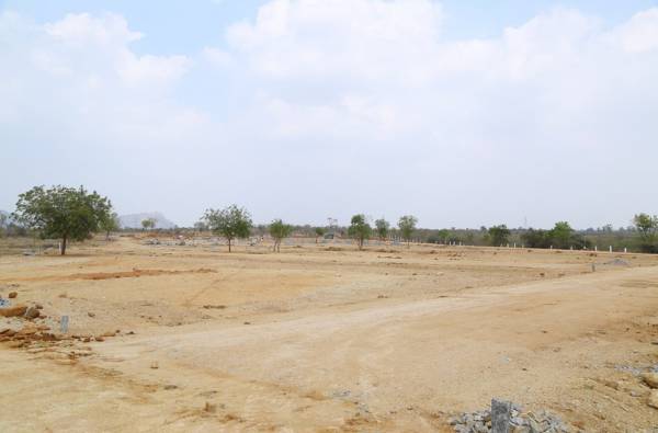 Images for Main Other of Young Nature Breeze Residencia