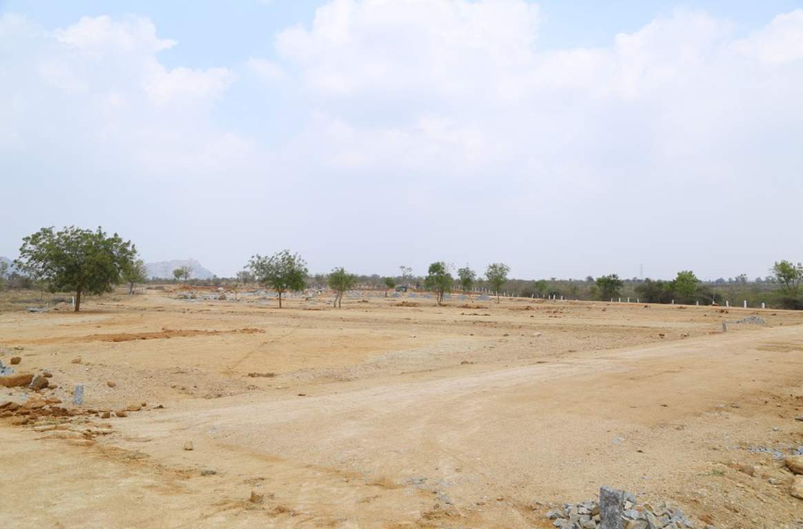 Images for Main Other of Young Nature Breeze Residencia