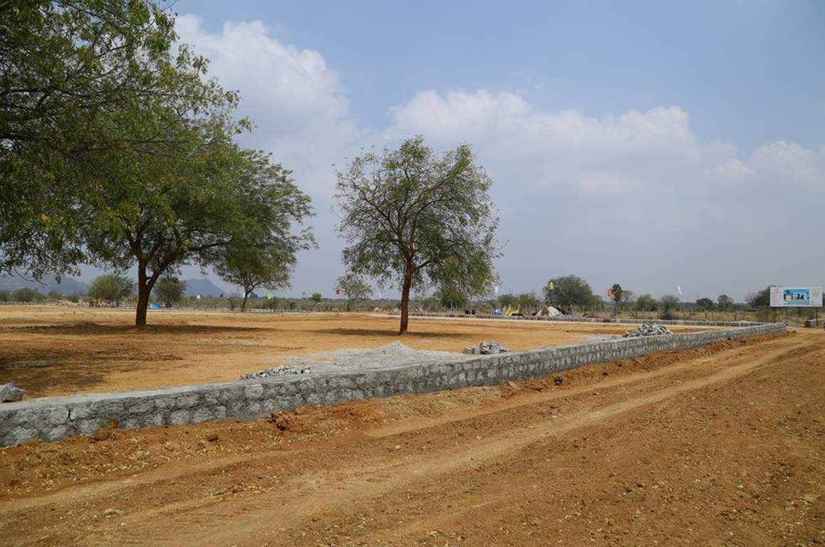 Images for Main Other of Young Temple Bells Residencia