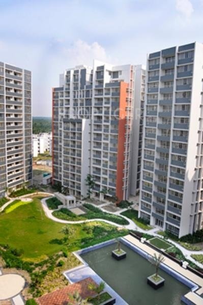 Images for Elevation of Sureka Group Sunrise Point