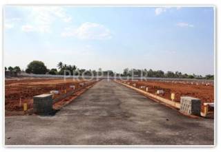 Project Image Project Image