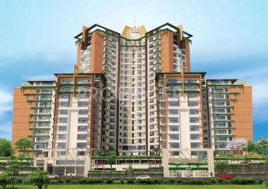 Images for Elevation of Mohtisham Canopy Images for Elevation of Mohtisham Canopy