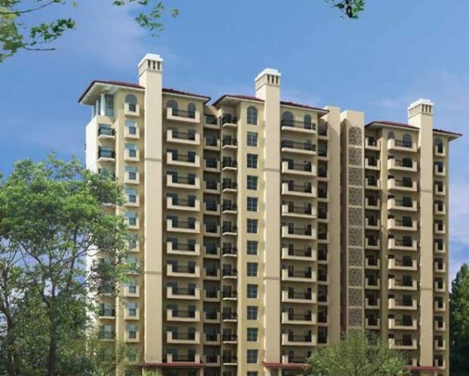  the meadows Elevation