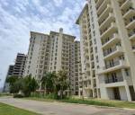  the-meadows Elevation