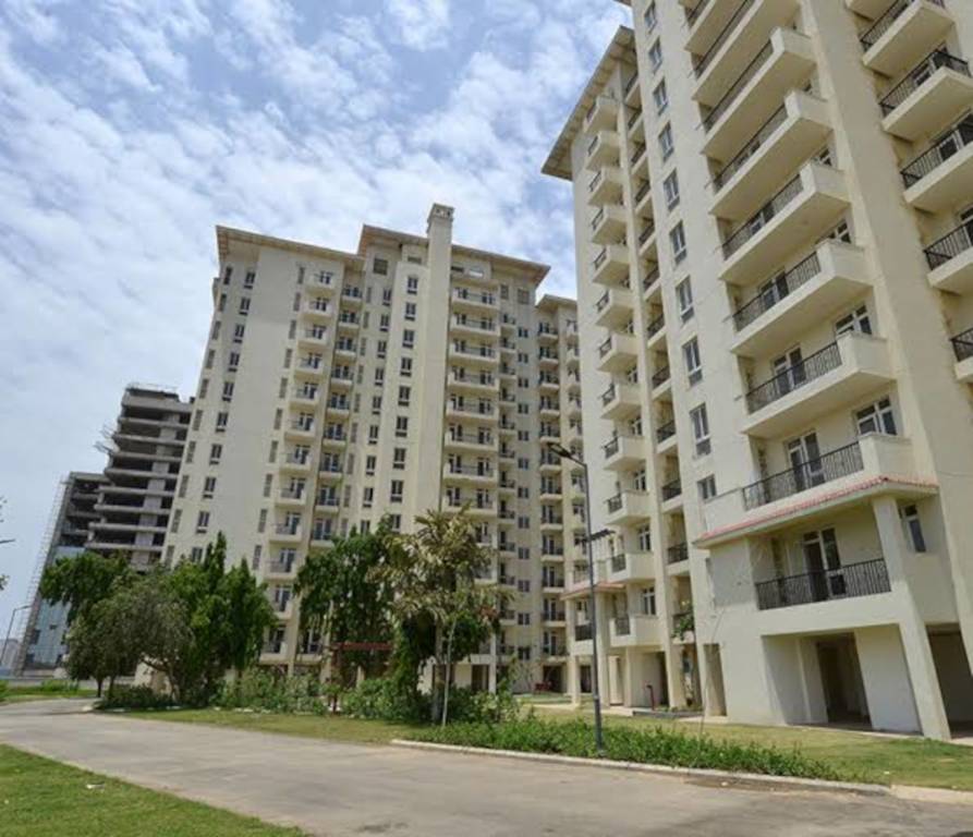  the meadows Elevation