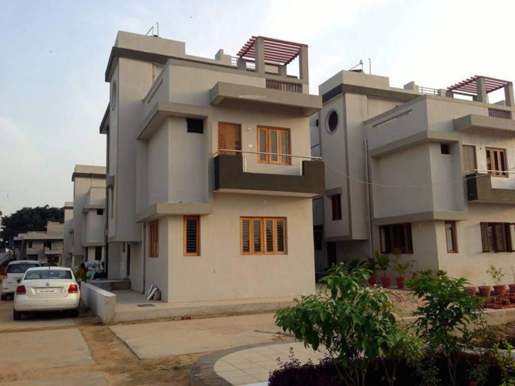 shilon greens Elevation