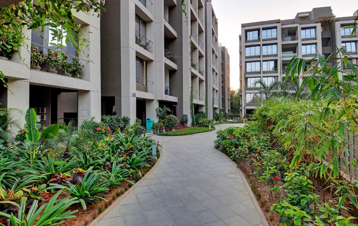  zold Images for Amenities of Siddhraj Zold