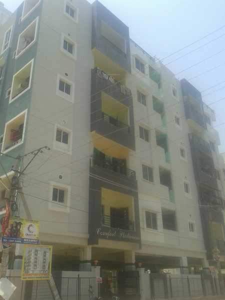  comfort platinum Elevation