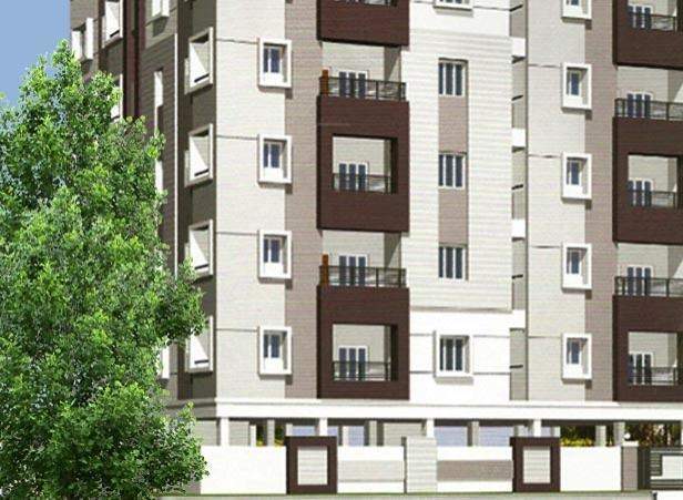  comfort platinum Elevation