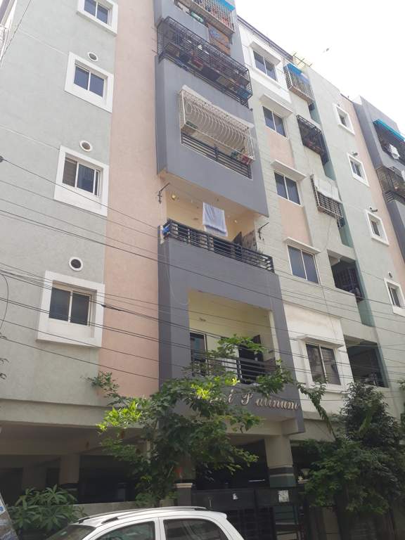  comfort platinum Elevation