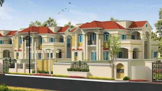 ambrosia-grandeur Elevation Elevation